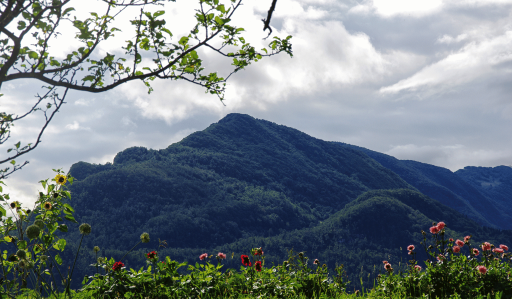 Slovenija