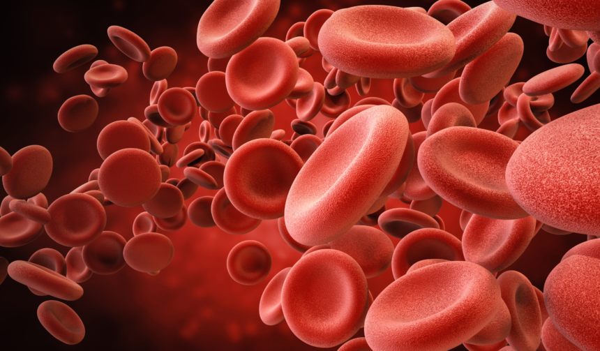 blood red cell