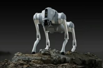 robot dog