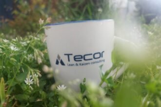 Tecor-consulting