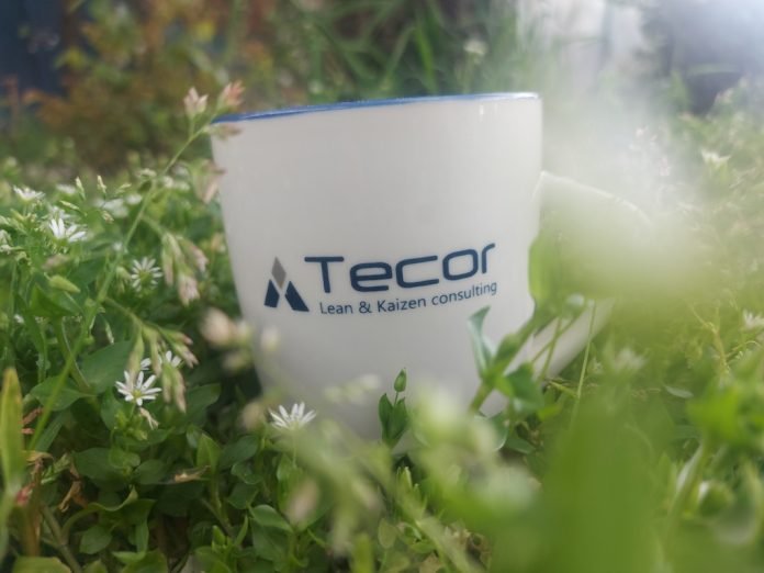 Tecor-consulting