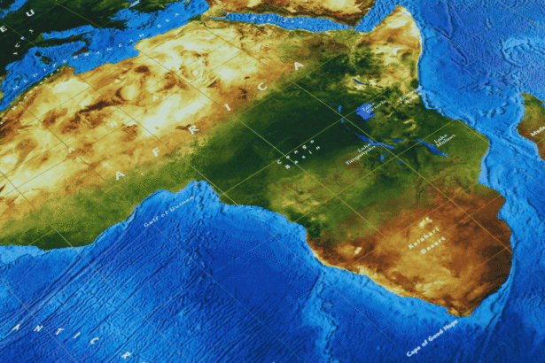 STO afričke ekonomije