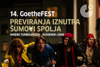 14. GoetheFEST