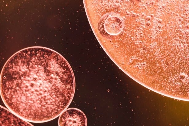 Egg cell rejuvenation