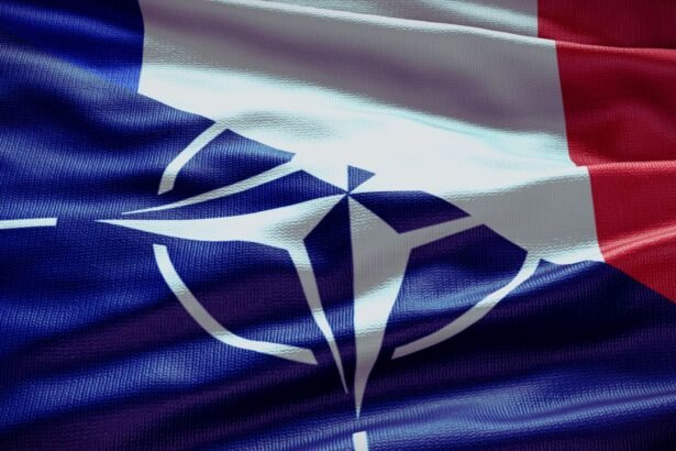 France NATO