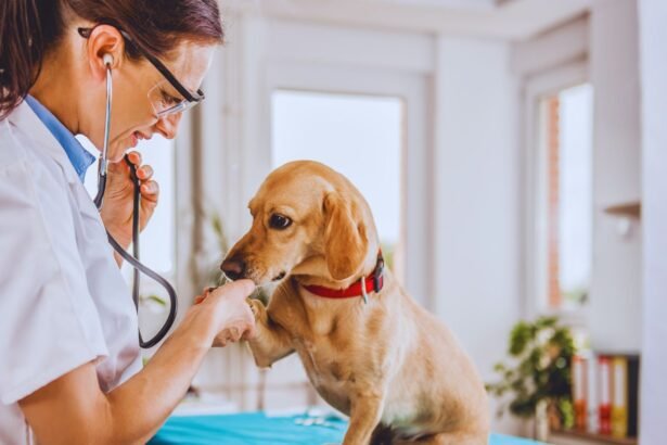 savremena veterinarska medicina