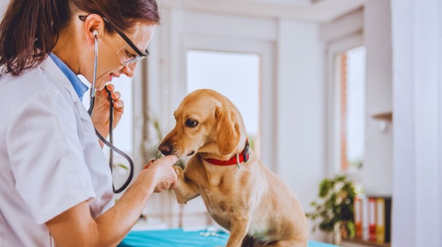 savremena veterinarska medicina