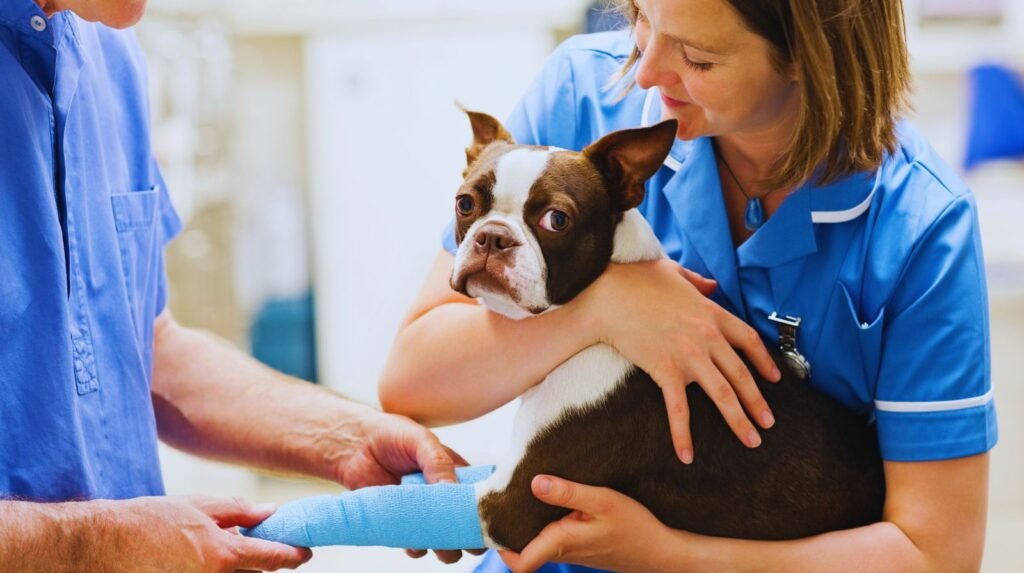 savremena veterinarska medicina