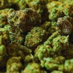 Zaplena droge u Srbiji