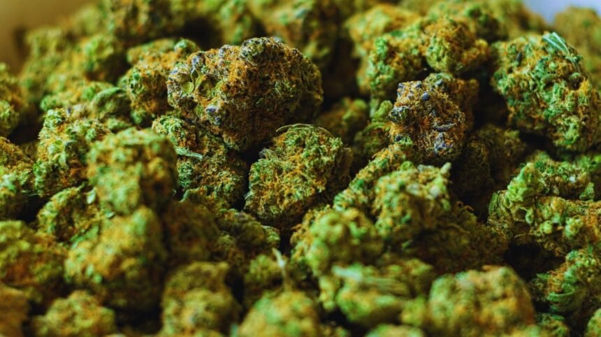 Zaplena droge u Srbiji