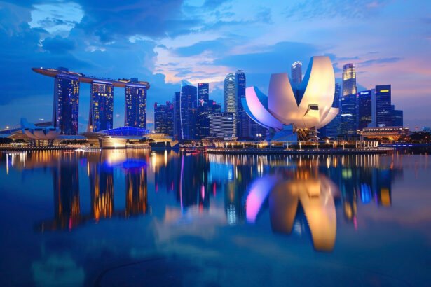 osnivanje kompanije u Singapuru