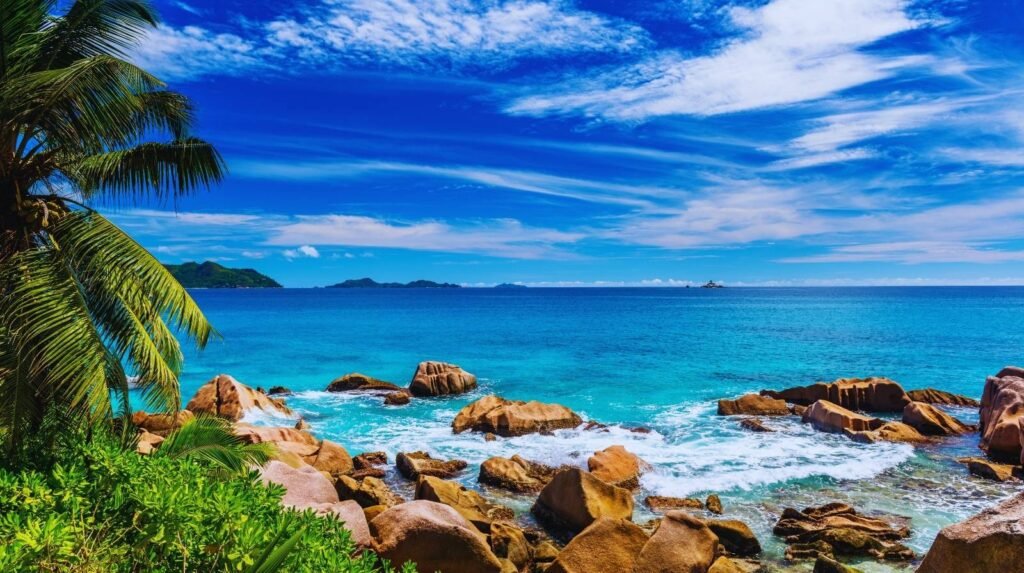 Osnivanje firme na Sejšelima