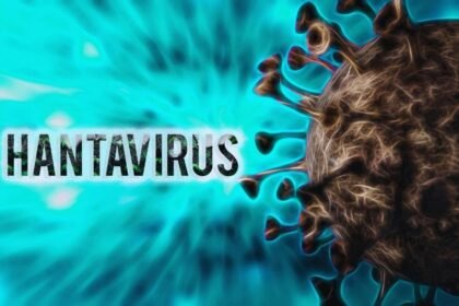 Hantavirus